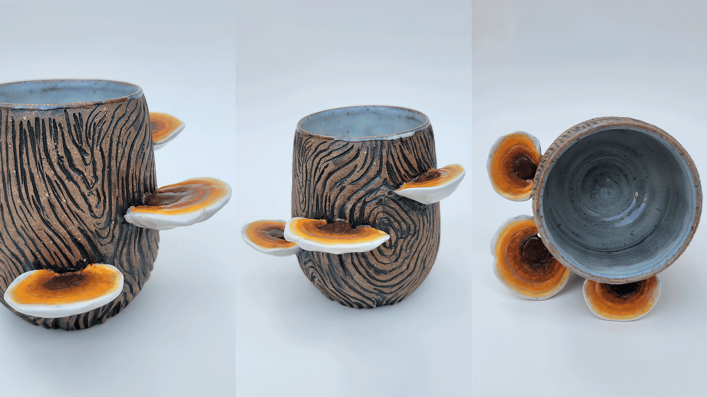 Ash Trowel, Reishi Mushrooms