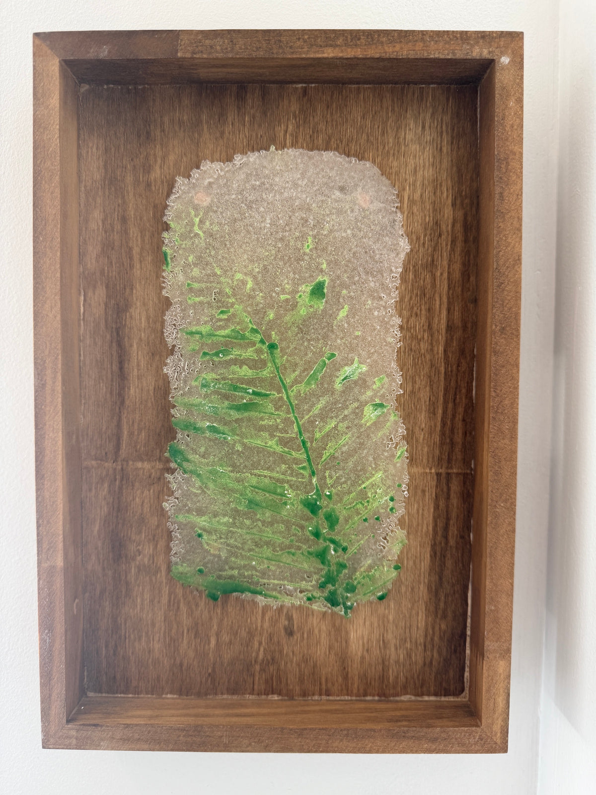 Caitlin Waugh, Fern