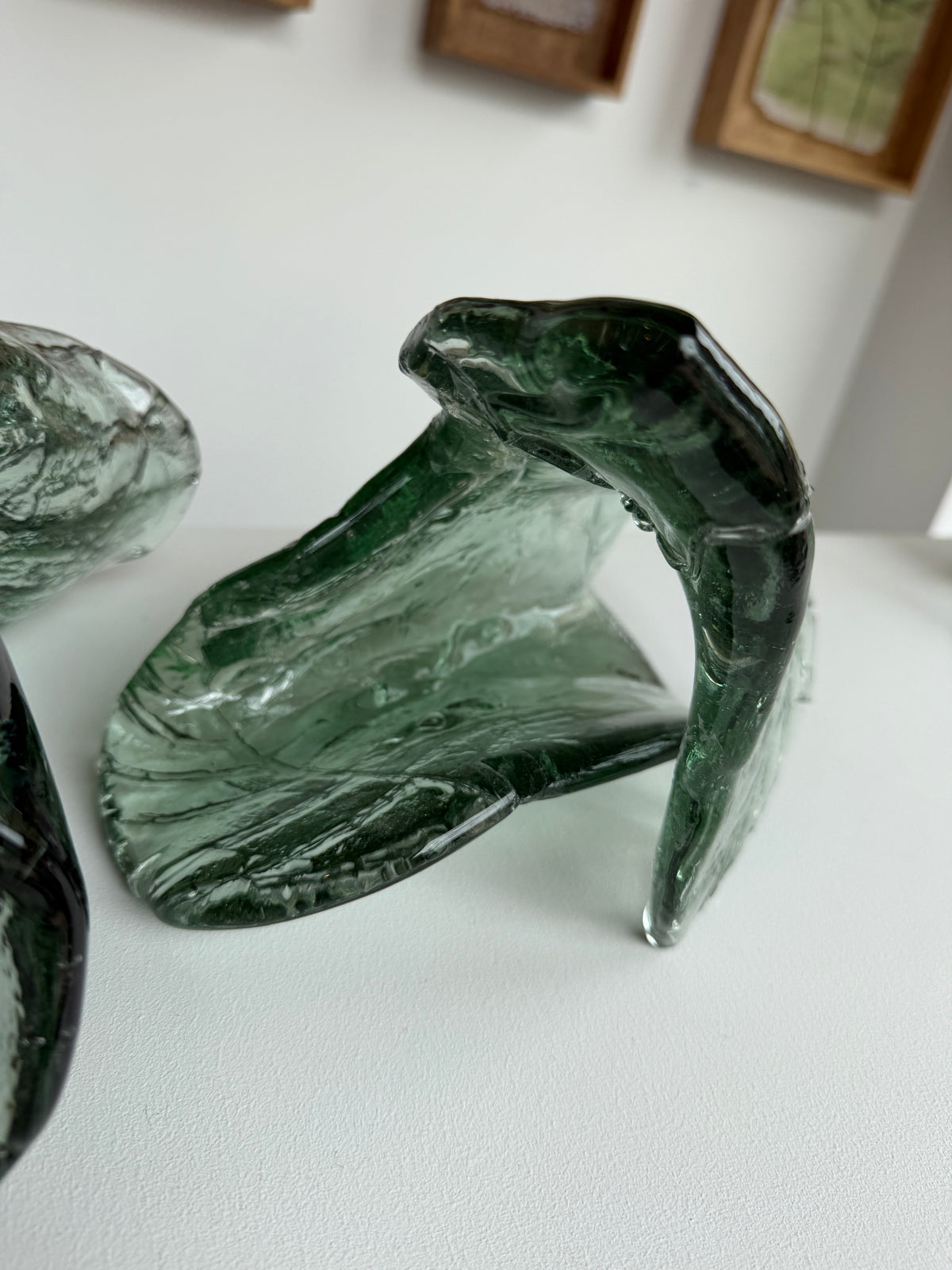 Caitlin Waugh, Fern Folds