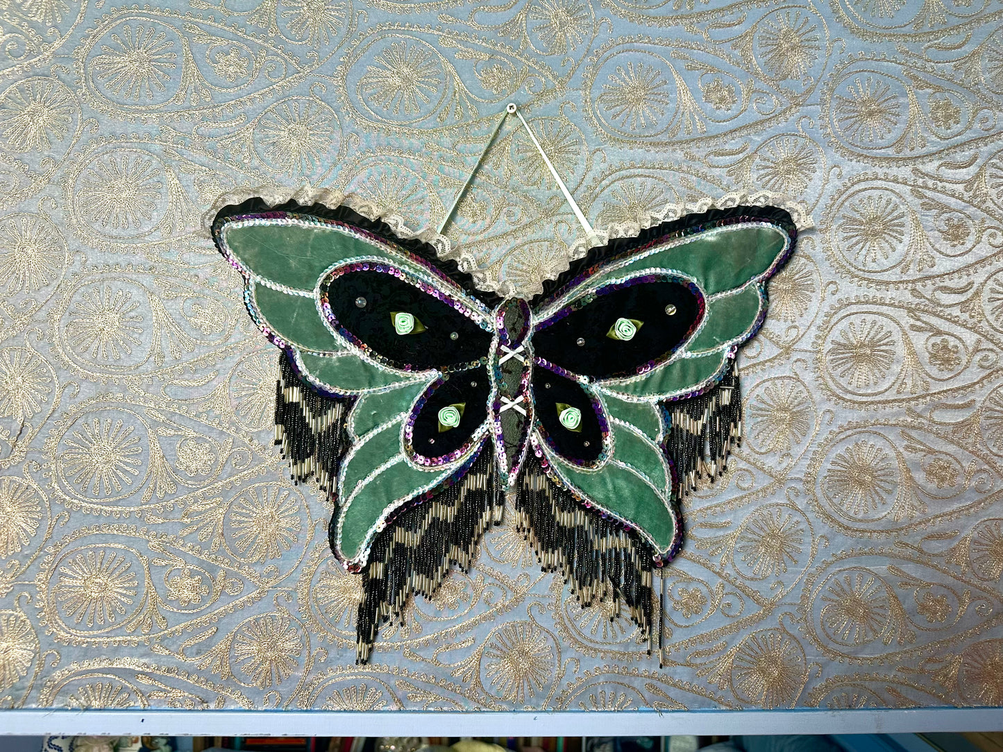 Denna Ameen Butterflies