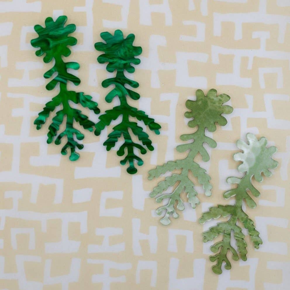 Fern Hybrid : Marbled Green