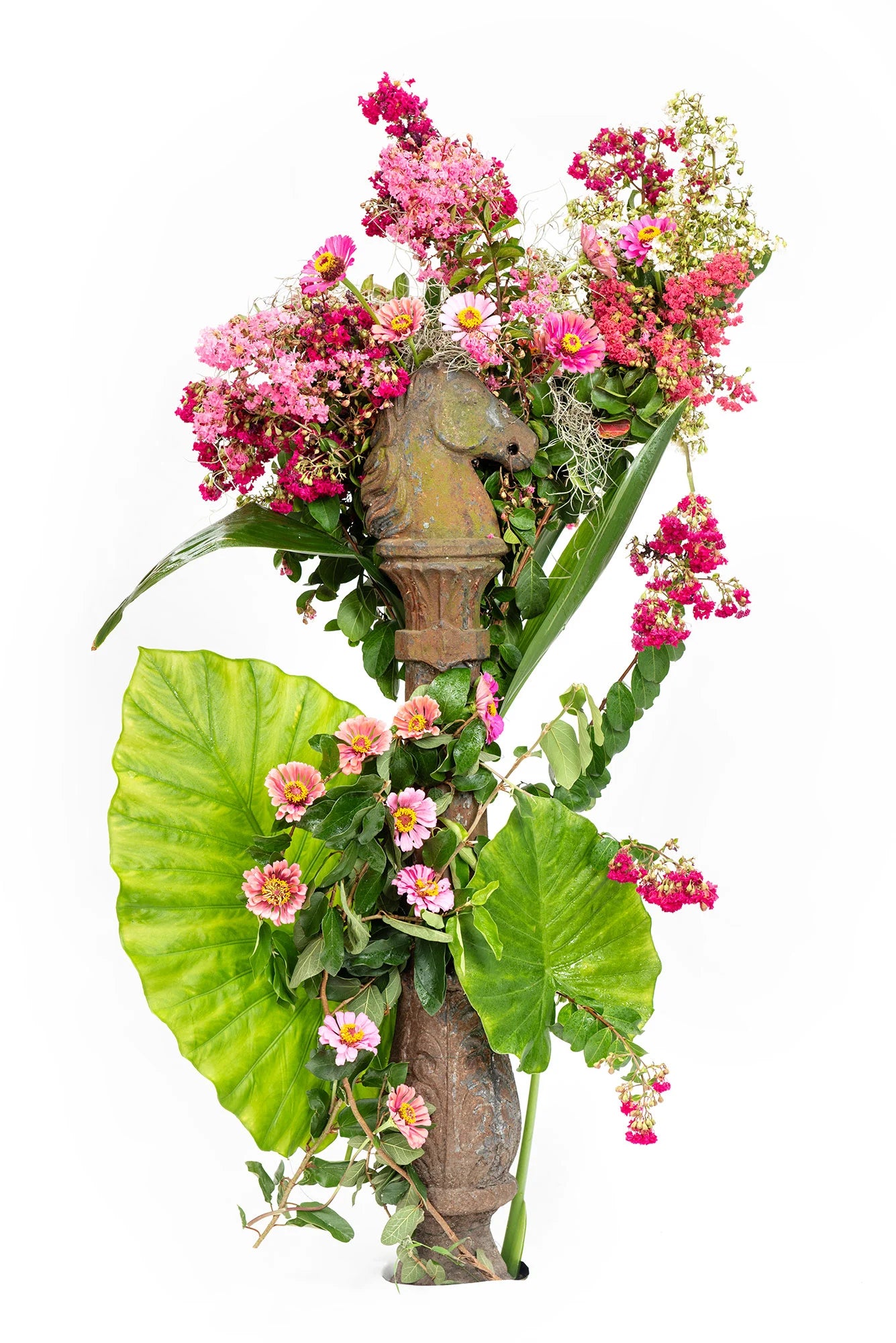 Ryan Hodgson-Rigsbee, Bouquet Series Postcards