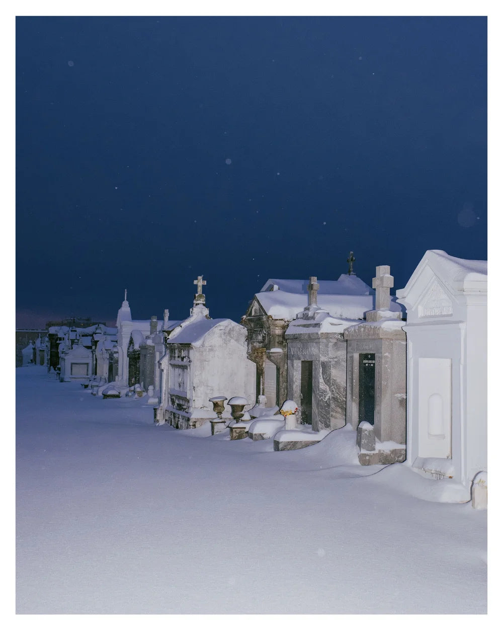 Madeline Rose, Swamp Snow Prints