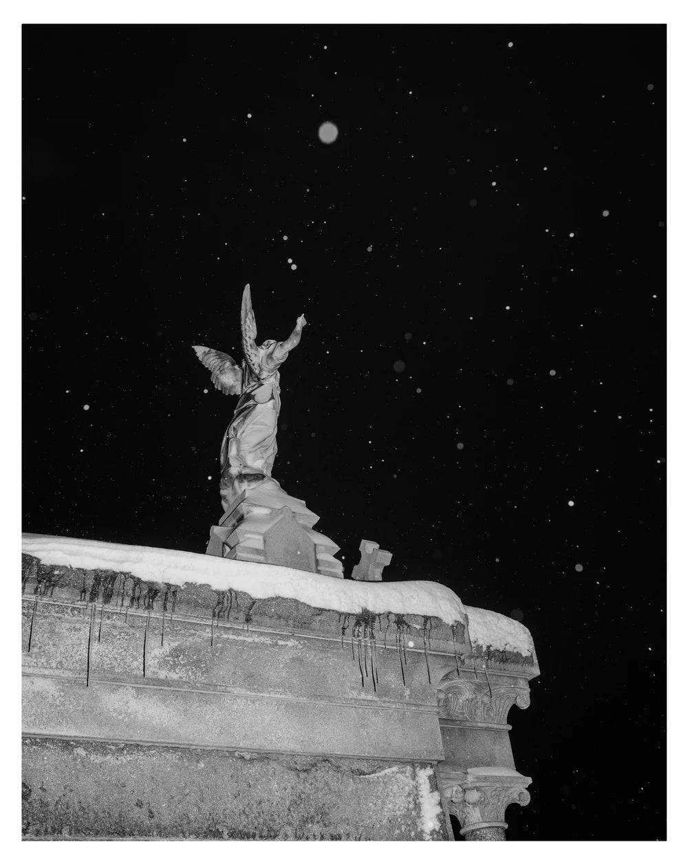 Madeline Rose, Swamp Snow Prints