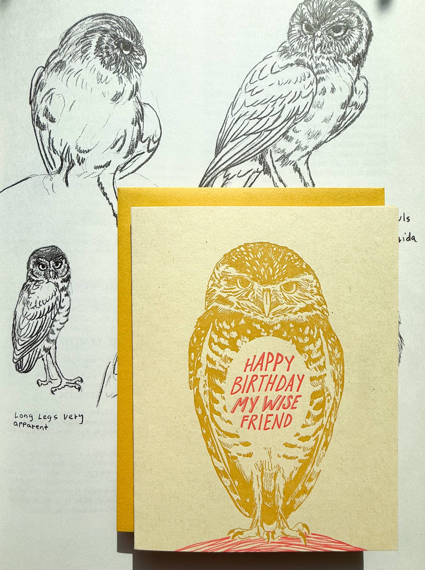 Happy birthday wise friend owl card