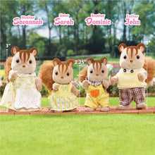 Load image into Gallery viewer, Set of 4 Doll Figures, Chipmunk/Squirrel Family, Collectible
