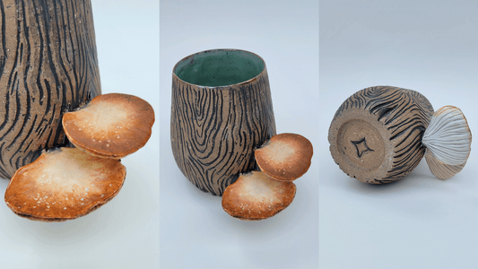 Ash Trowel, Oyster Mushrooms