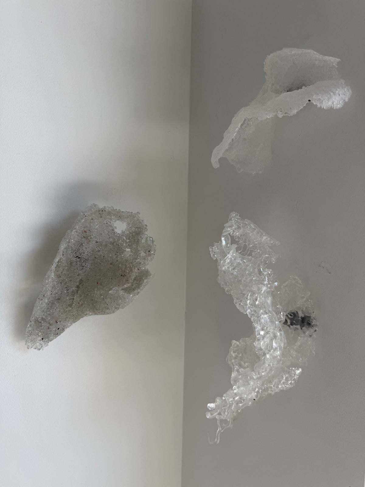 Caitlin Waugh, Frit Pod