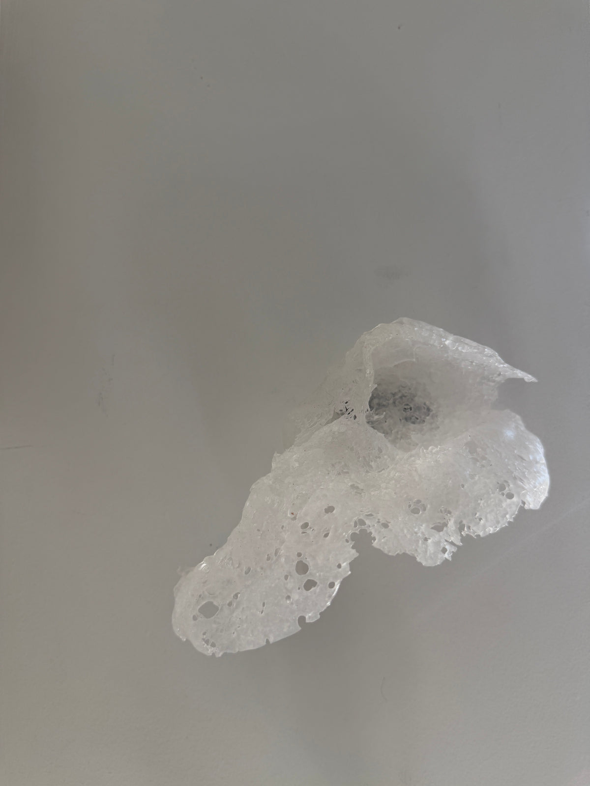 Caitlin Waugh, Frit Pod