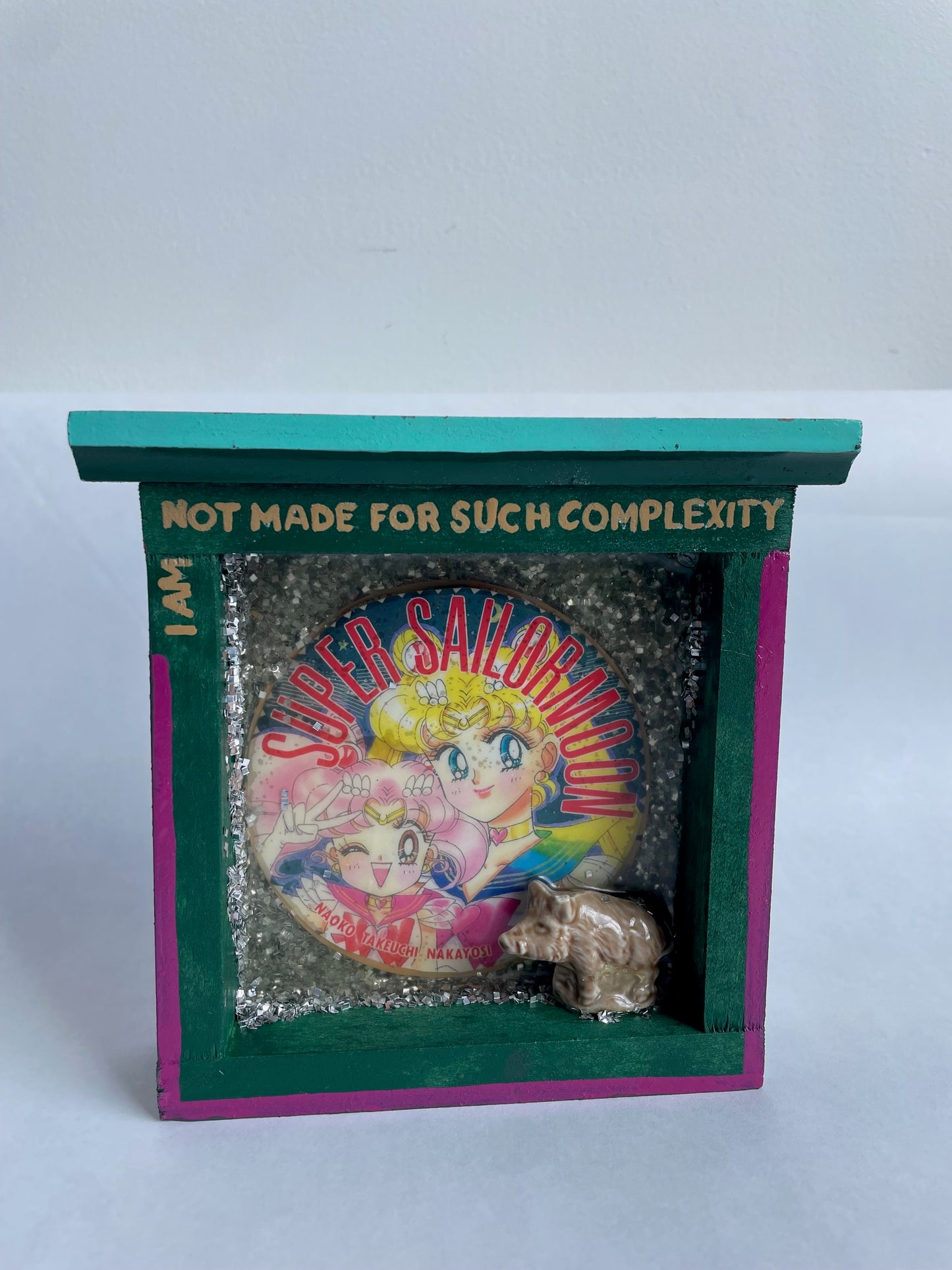 Sue Ireland, I am not shy