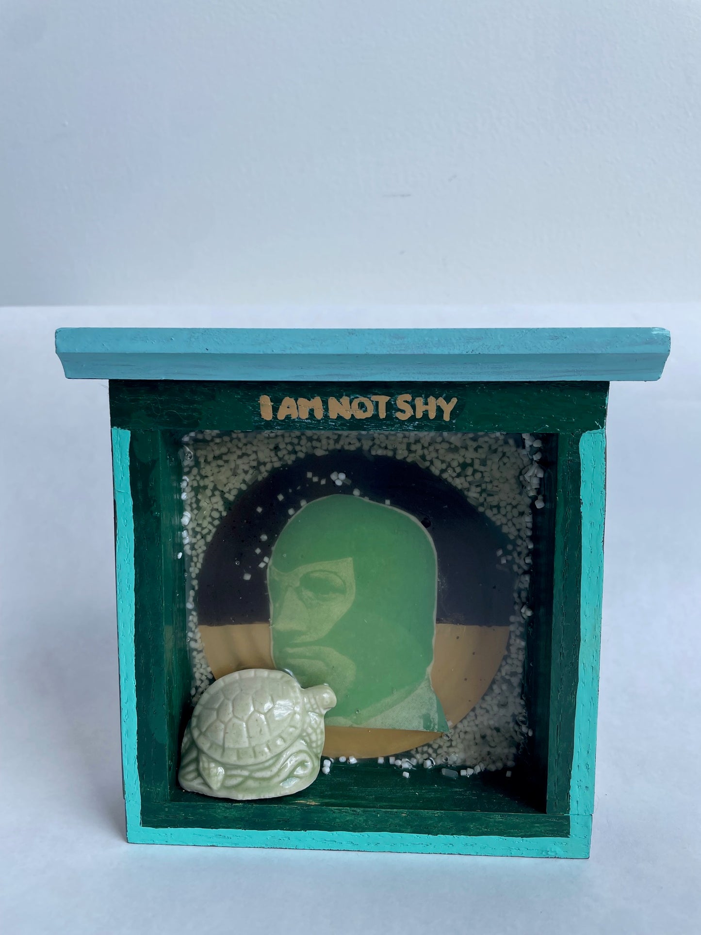 Sue Ireland, I am not shy