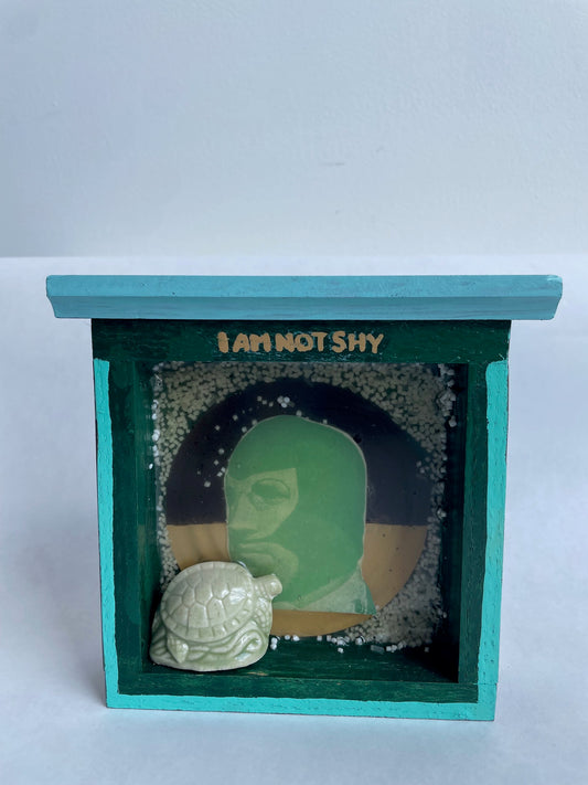 Sue Ireland, I am not shy