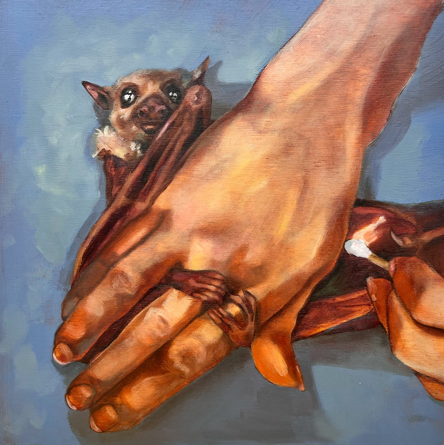 Kate Citrin, Paintings & Prints