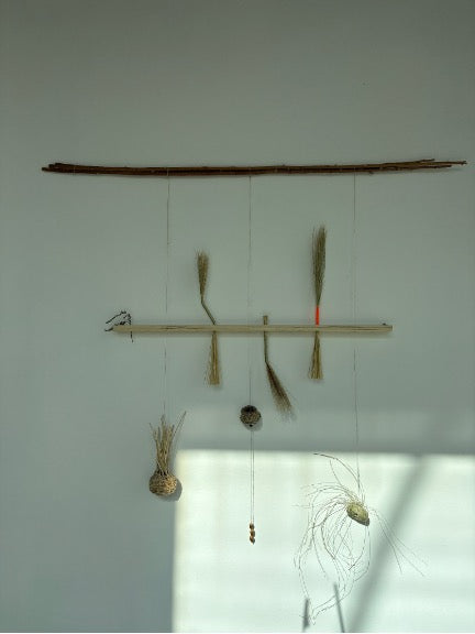 Molly Koehn, the word for world is forest