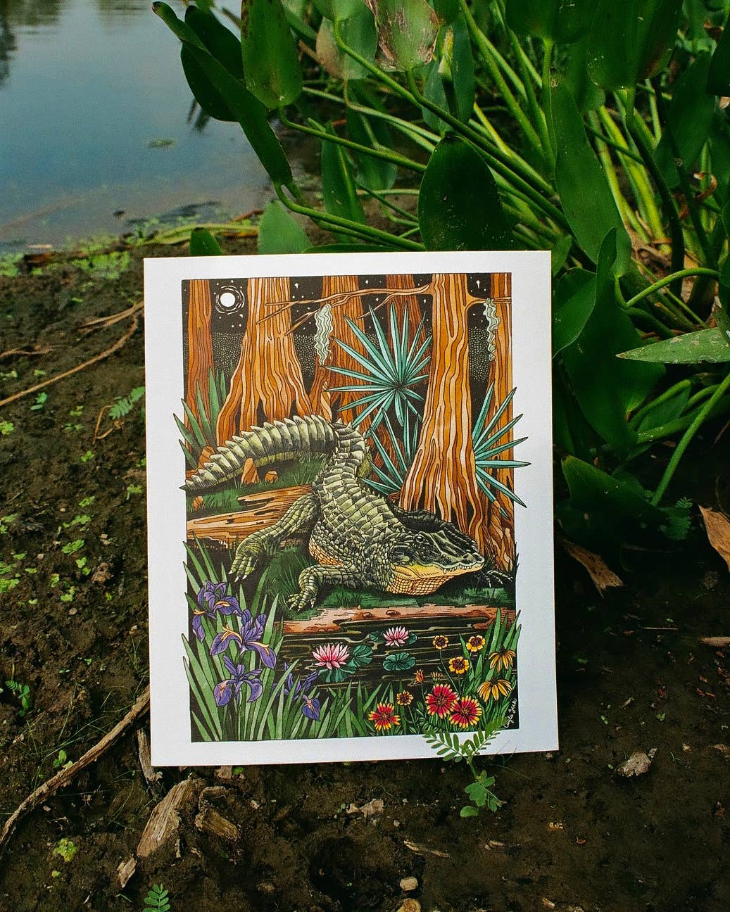 8 x 10  Alligator Art Print