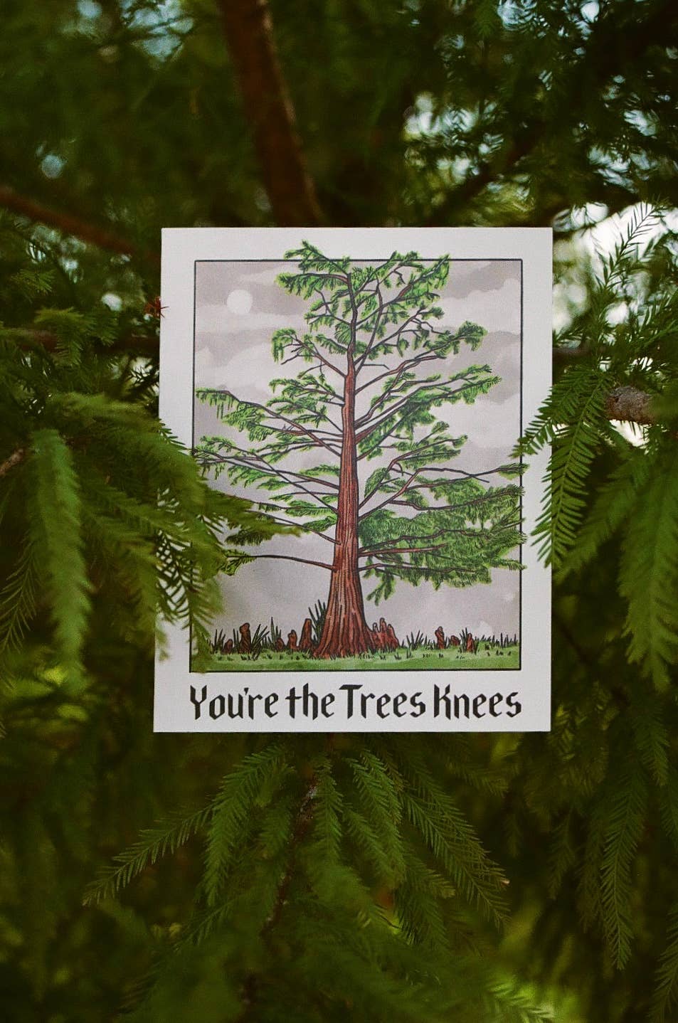 You're The Trees Knees Card